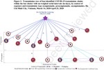 Determining Local Levels of the Effectiveness and Efficiency of Contact Tracing Through Modeling